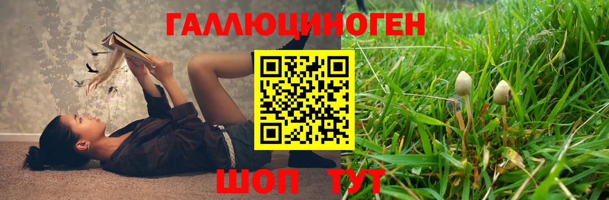 Галлюциногенные грибы ЛСД Вольск