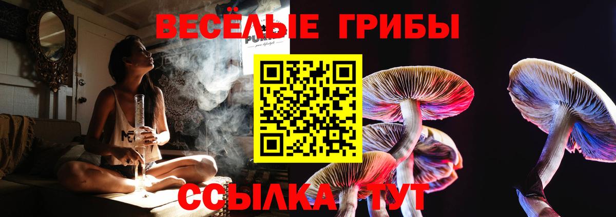 продажа наркотиков  Вход с VPN  Псилоцибиновые грибы мухоморы  Вольск  Псилоцибиновые грибы ЛСД 